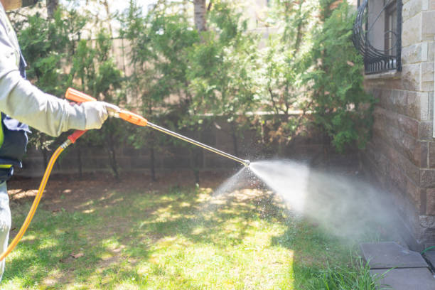 Best Organic or Eco-Friendly Pest Control  in Southern Gateway, VA